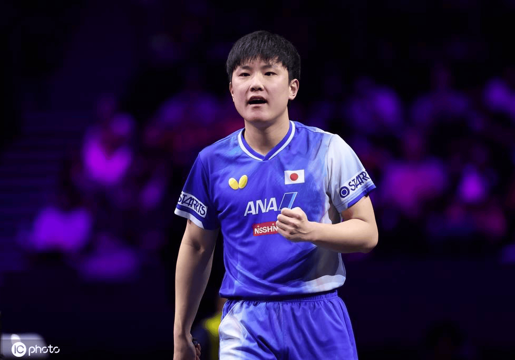 波兰乒乓球队横扫比利时乒乓球队,张本智和绝境逆转的简单介绍 波兰乒乓球队横扫比利时乒乓球队,张本智和绝境逆转的简单介绍