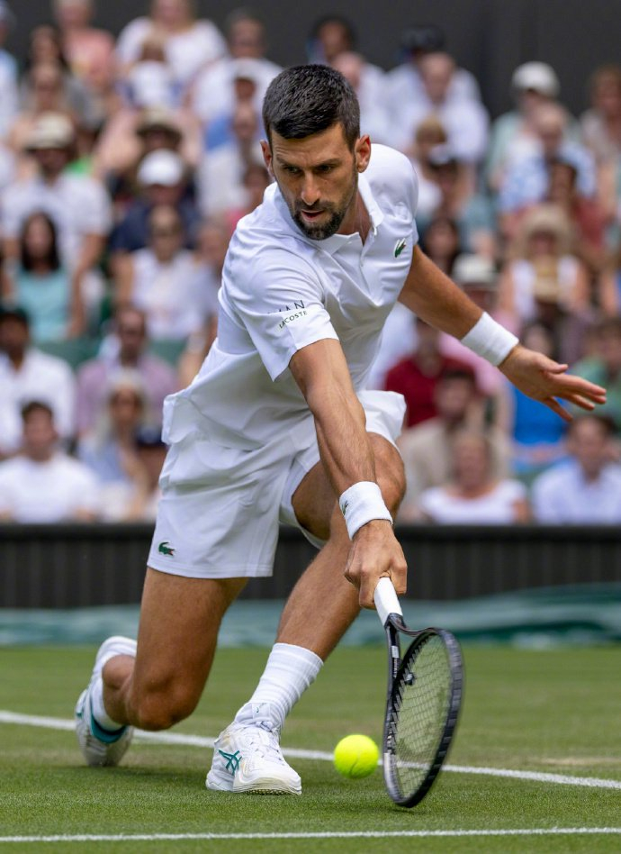 戴维斯杯逆转温网，德约科维奇点燃赛场