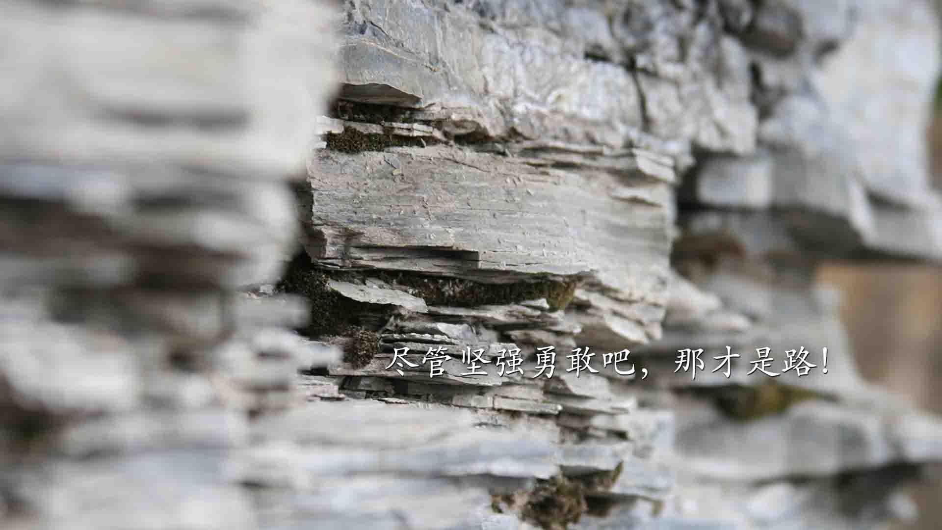 法拉利奇迹夜，周冠宇绝境带队，粉碎梅赛德斯银箭神话