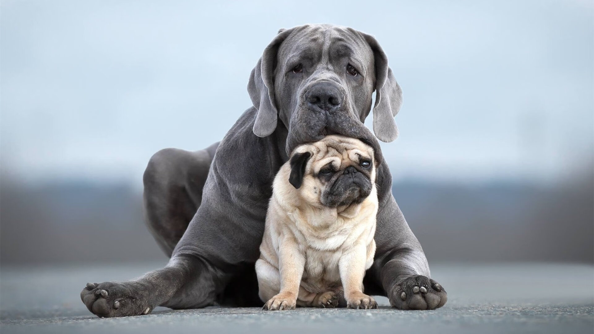 中国故事的逆转与绝对主宰的个人英雄主义