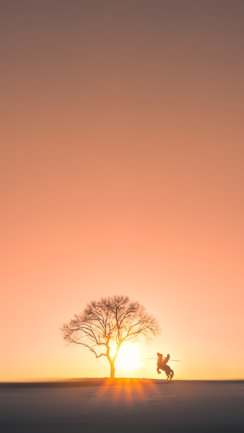 草根屠龙记，若日尼奥一己之力导演马里狂胜曼城