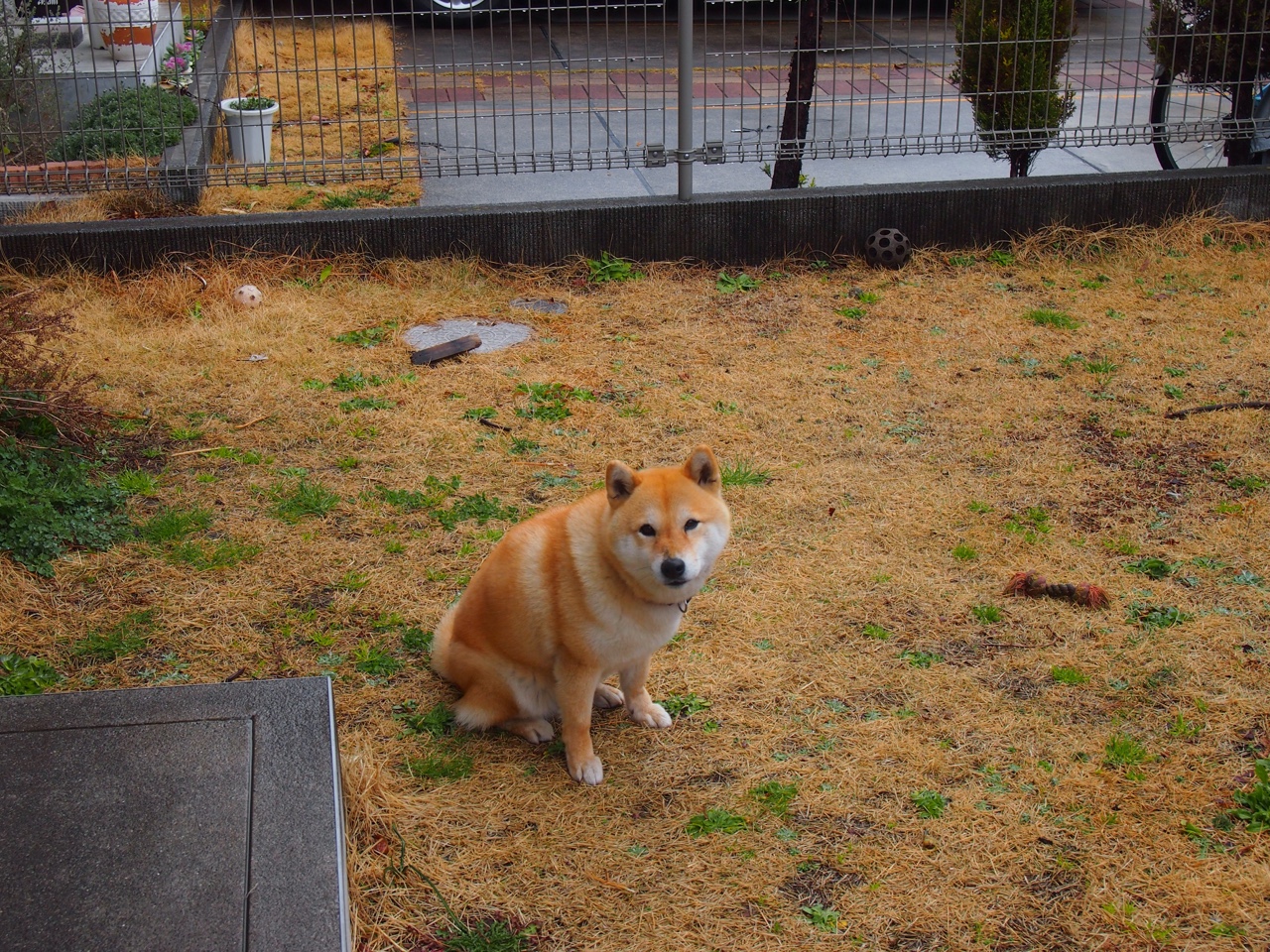 范弗利特的双重奏，老鹰带走胜利之夜，一个男人为奥运签下生死状