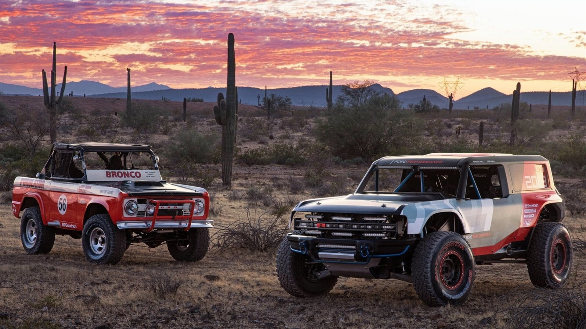 马克西导演节奏交响乐,当篮球智慧化身无形指挥棒