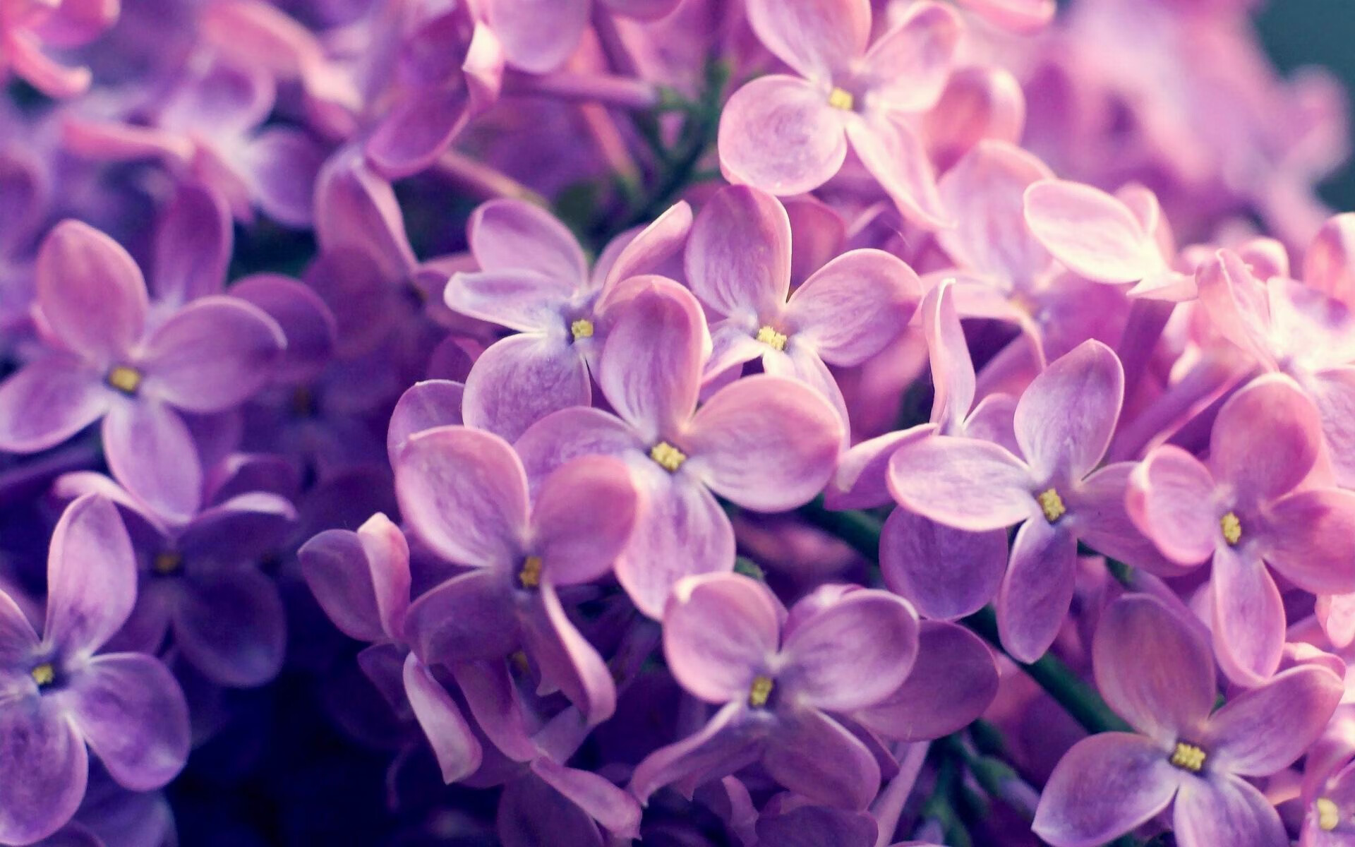 爱游戏官网-字母哥单骑破阵显神威，快船团队洪流锁猛龙—NBA权力动态的双重变奏