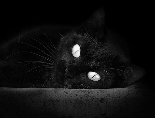 新王加冕，旧神陨落，2026，莱万在韩国收割巴西的废墟上接管世界