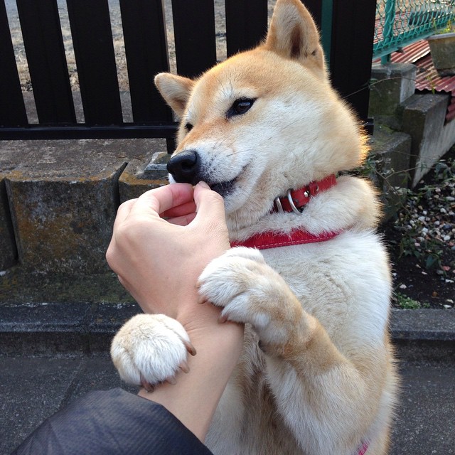 刀锋与堤坝，在虚构的经典对决中，布雷默何以定义唯一