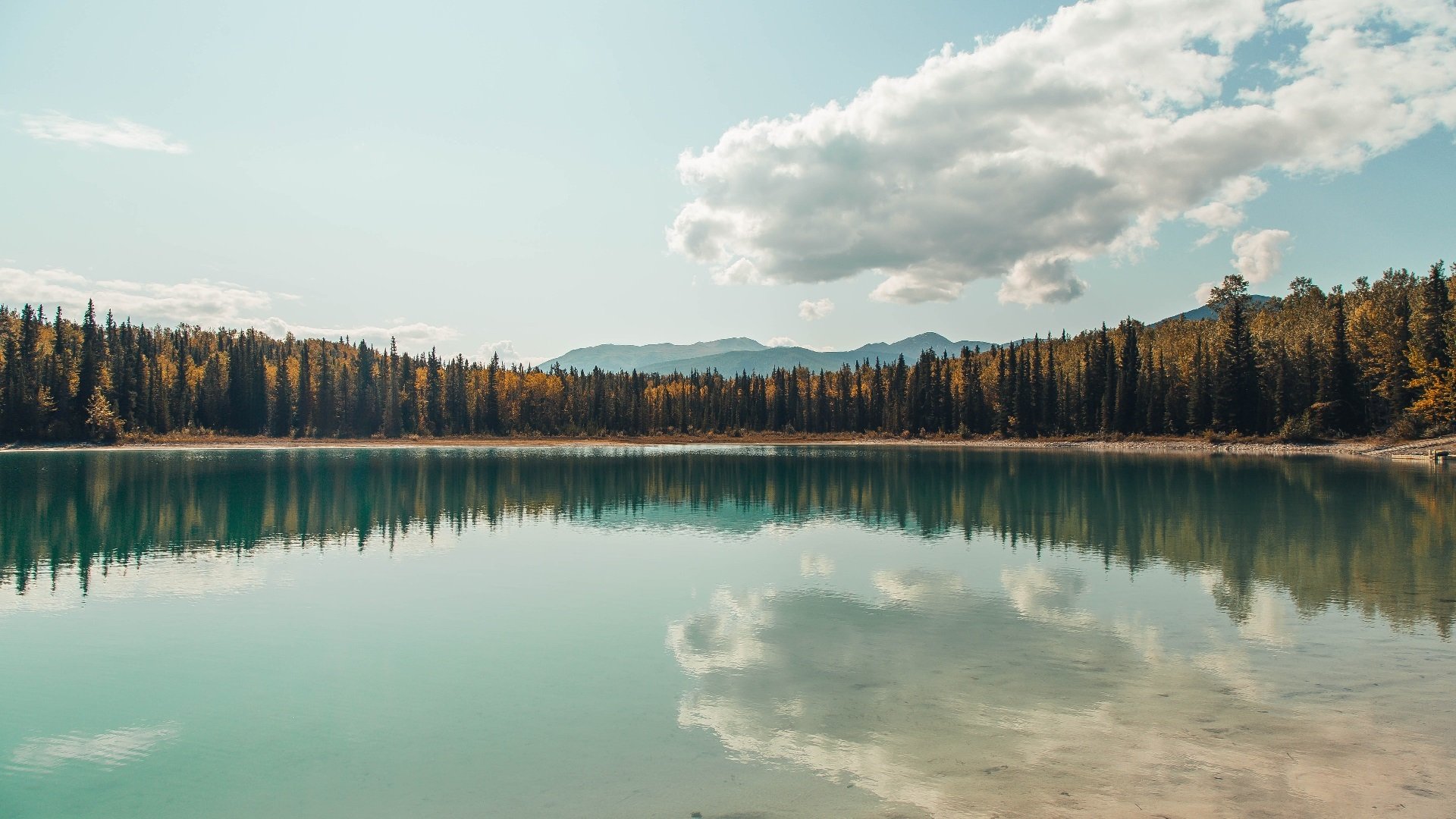 孤狼的魔术与雁阵的囚笼，约基奇如何在太阳的战术铁幕下定义现代篮球