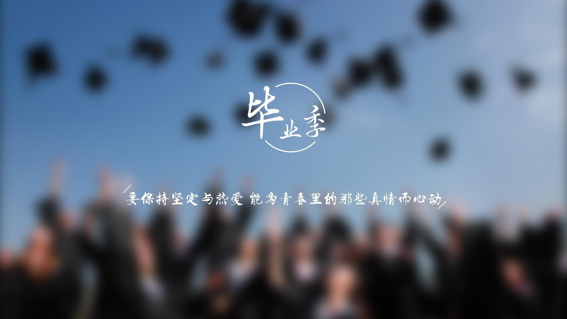 当橙衣军魂遇上波斯铁骑,范戴克封神之夜,2026世界杯B组的唯一剧本