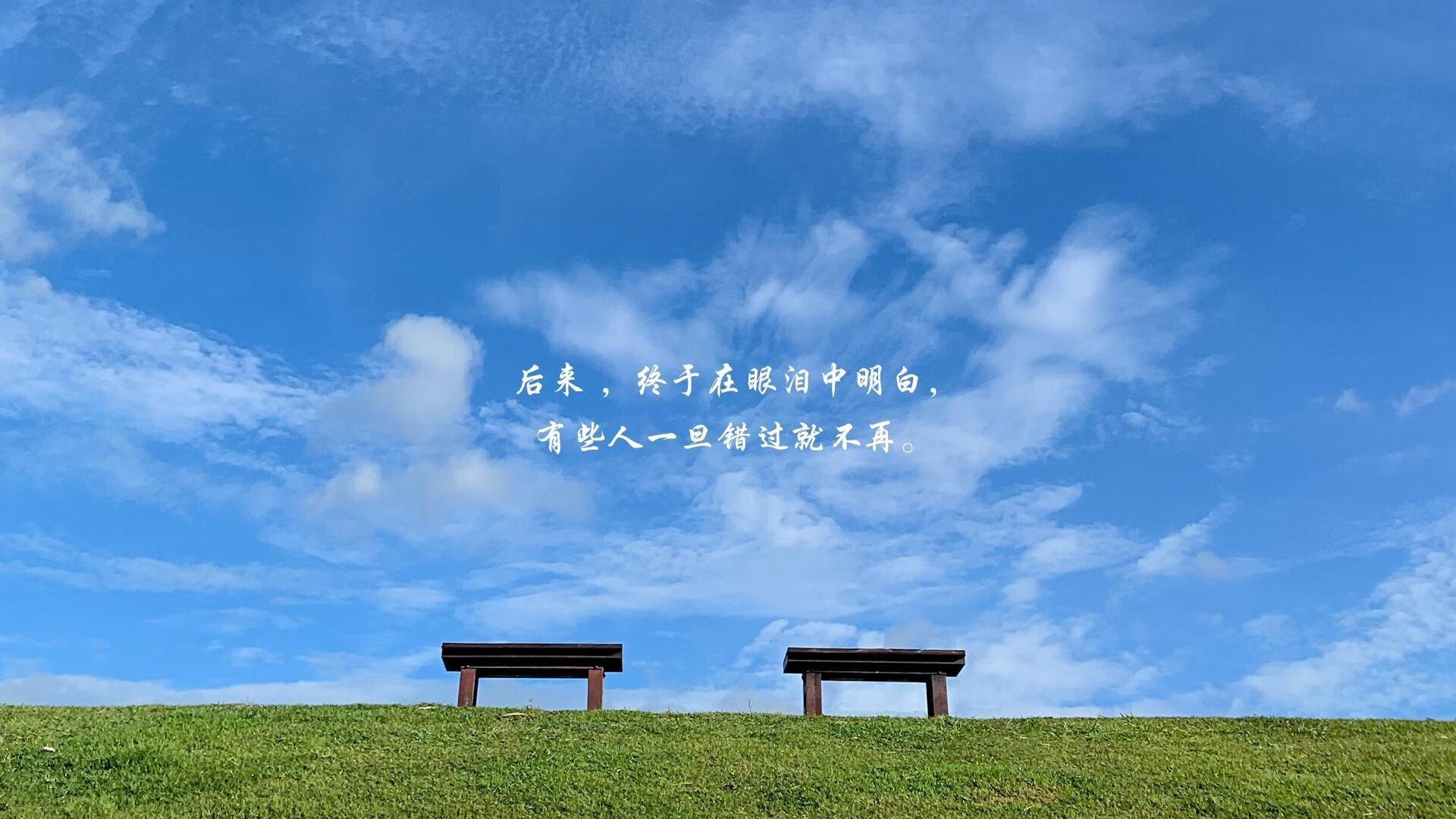 北欧铁骑的暗夜突袭,贝林厄姆压哨绝杀,2026世界杯黑马之战瑞典逆转奥地利